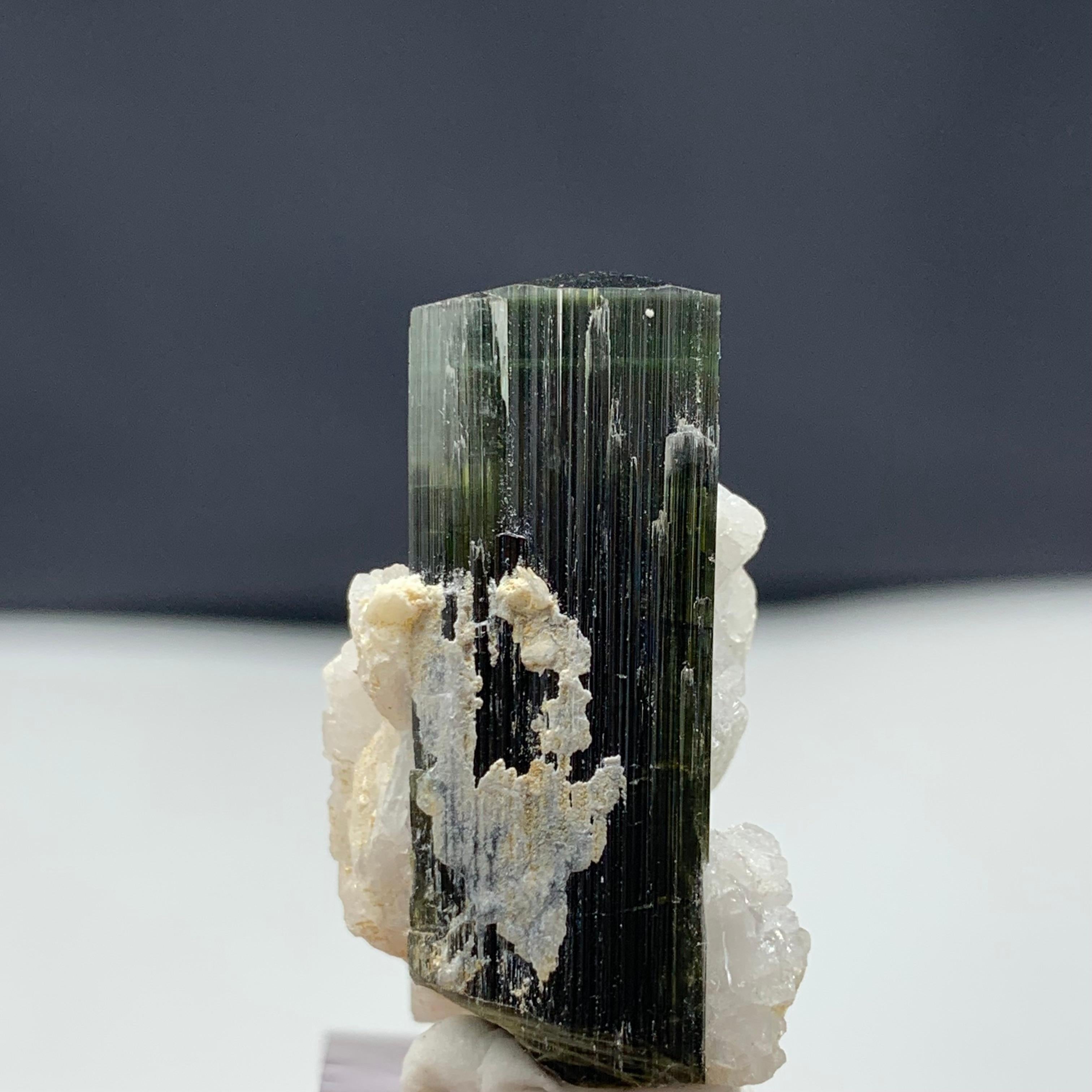 10.45 Gram Lovely Tourmaline Specimen From Stak Nala, Skardu, Pakistan 
Weight: 10.45 Gram 
Dimension: 3.2 x 1.9 x 1.5 Cm
Origin: Skardu, Pakistan 

Tourmaline is a crystalline silicate mineral group in which boron is compounded with elements such