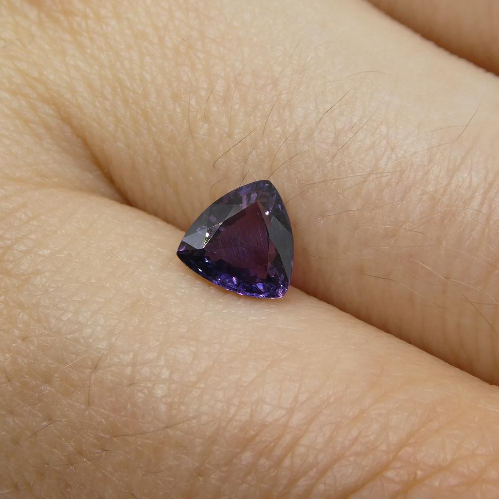 1.04ct Trillion Purple Sapphire from Madagascar Unheated For Sale 4