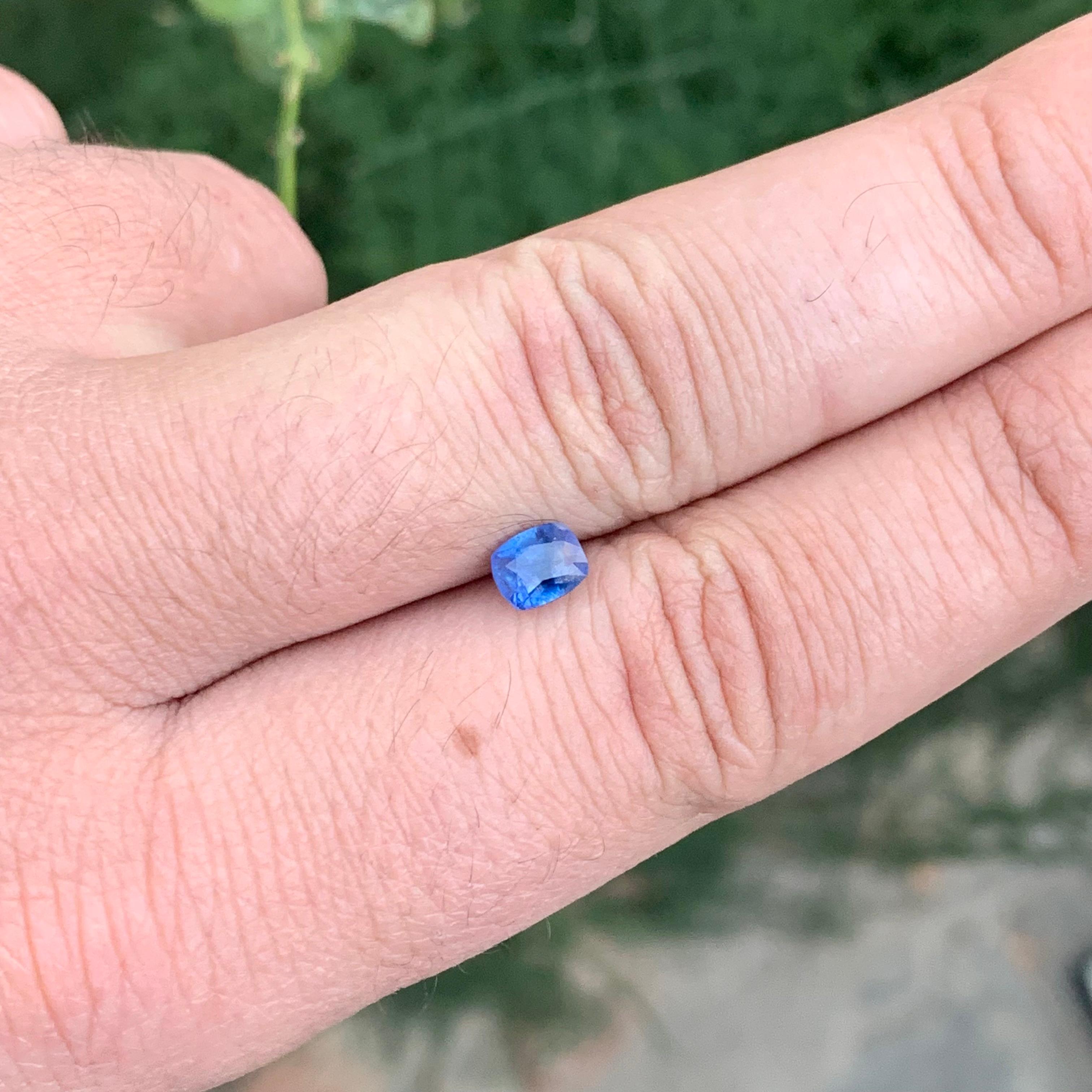 1.05 Carat Adorable Sapphire Loose Cushion Shape Gemstone (pierre précieuse en forme de coussin) en vente 5