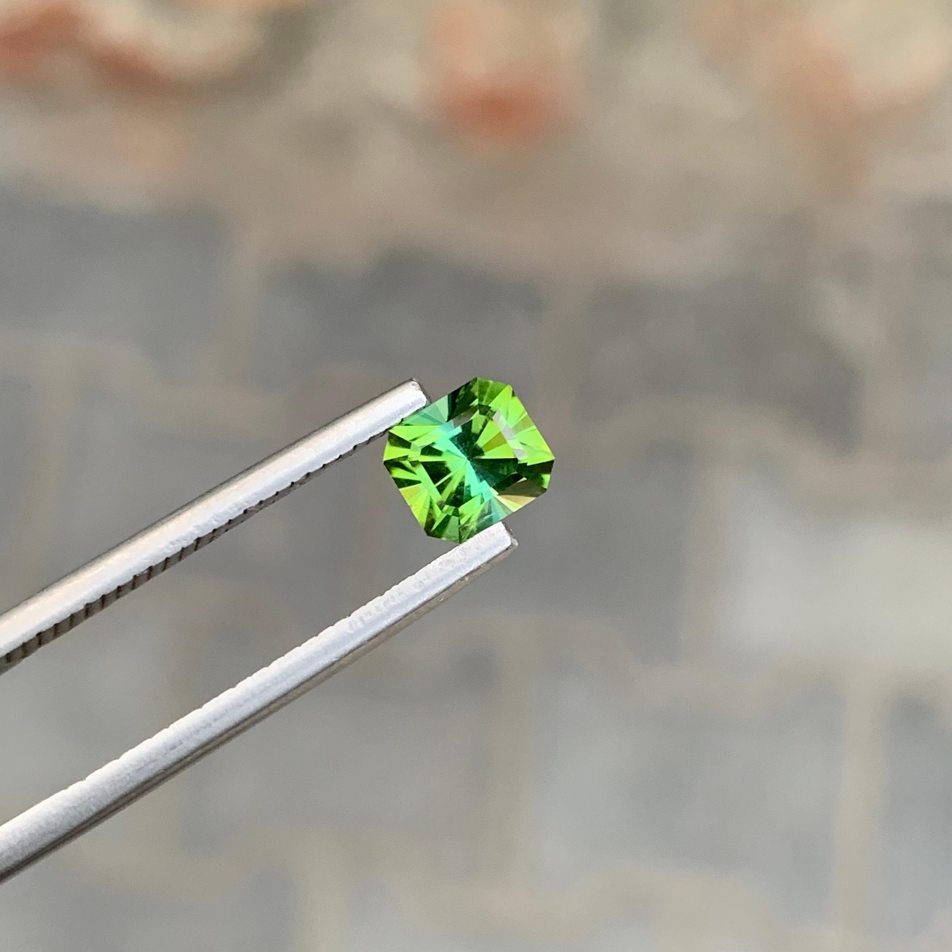 Loser Blauer Grüner Turmalin

Gewicht: 1,05 Karat
Abmessungen: 6 x 5,4 x 4,7 mm
Herkunft: Afghanistan
Zertifikat: Auf Anfrage
Behandlung: Nicht
Die Form: Smaragd 
Farbe: Blau und Grün 


Der Turmalin ist ein faszinierender Edelstein, der für seine