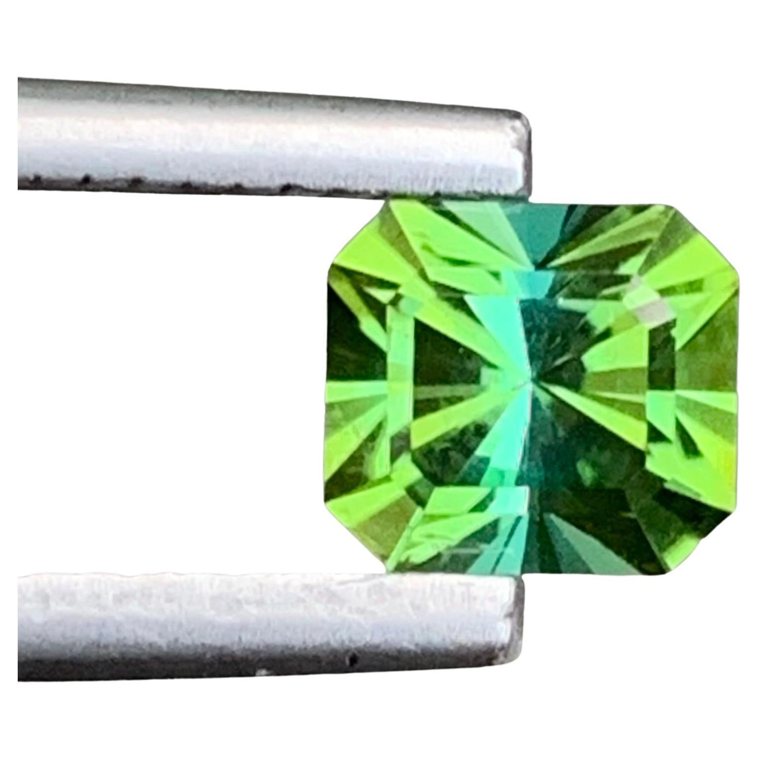 1.05 Carat Natural Loose Blue Green Tourmaline Emerald Shape Gem For Ring