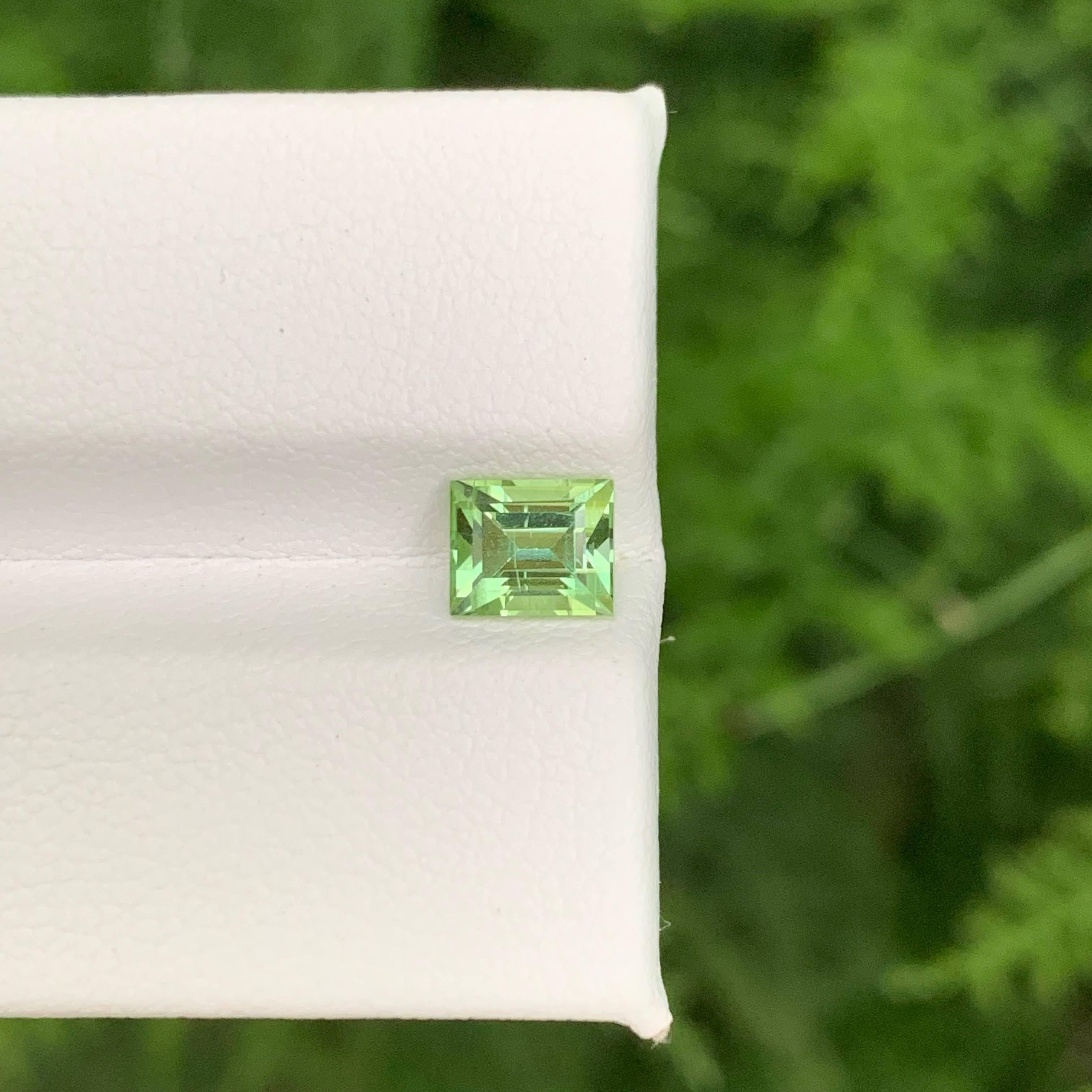 1.05 Carat Natural Loose Mint Green Tourmaline Baguette Cut Afghan Gemstone (pierre précieuse afghane) en vente 5