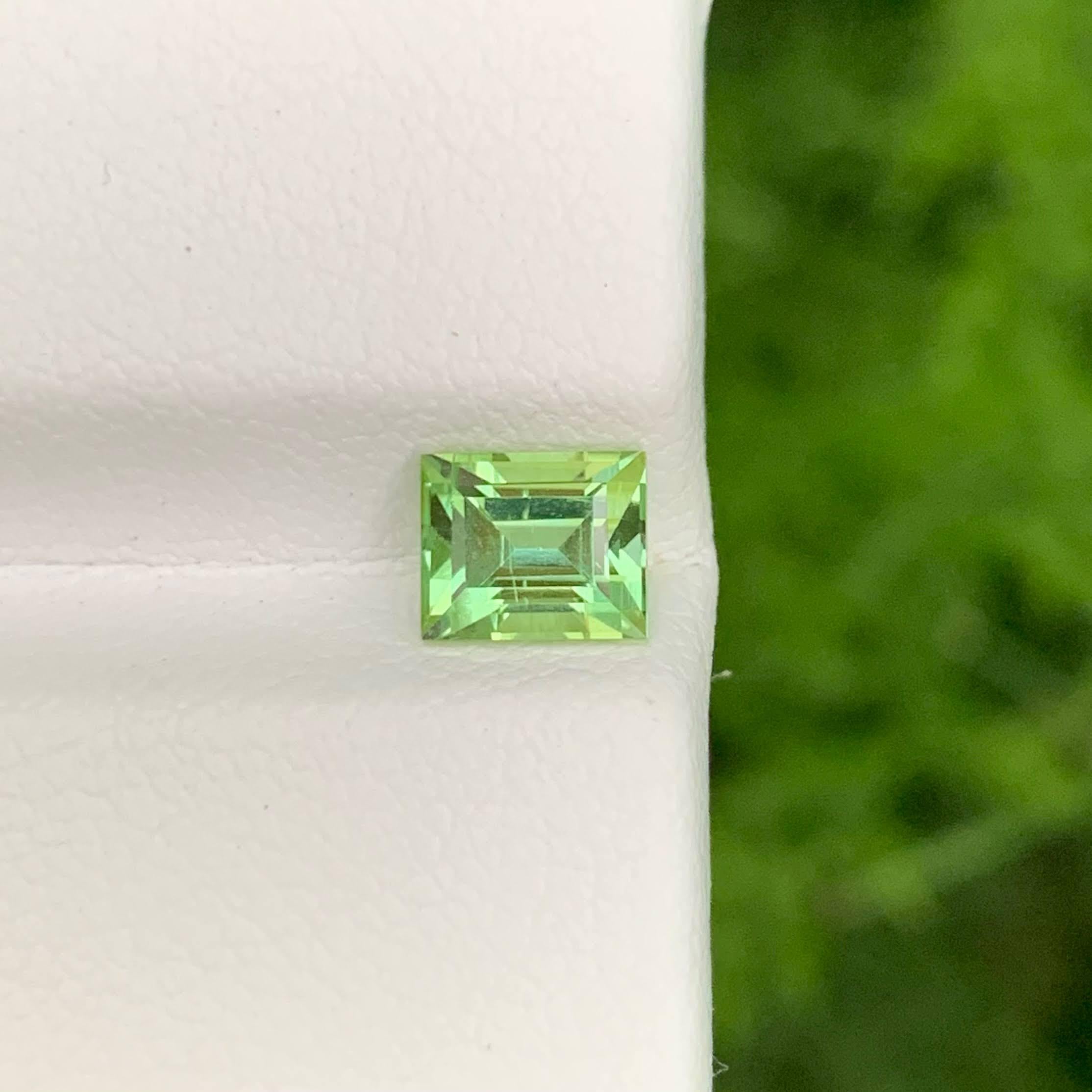 Poids 1,05 carat 
Dimensions 6.0x5.0x4.2mm
Traitement Aucun 
Origine afghane 
Clarté VVS 
Forme Coupe Baguette 




Améliorez votre collection de pierres précieuses avec cette tourmaline vert menthe en vrac de 1,05 carat, magnifiquement façonnée