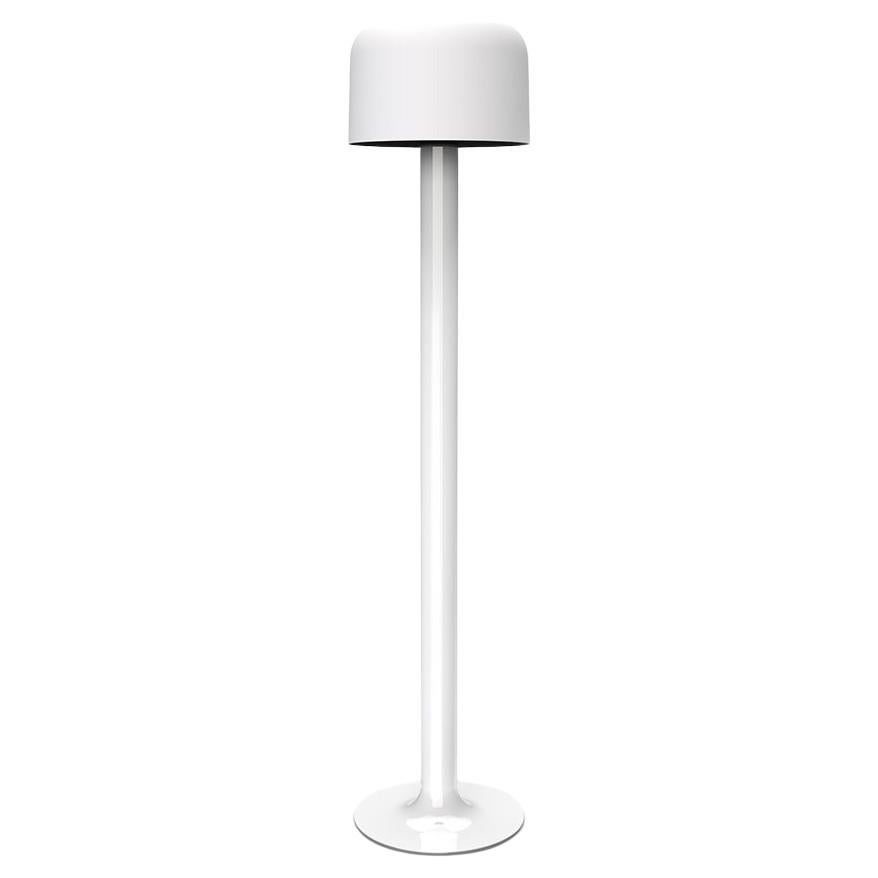 Contemporary 10527 Floor Lamp by Disderot For Sale