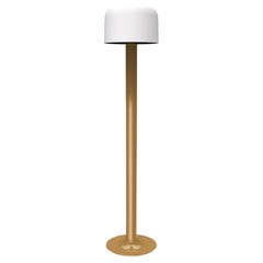 10527 Floor Lamp by Disderot