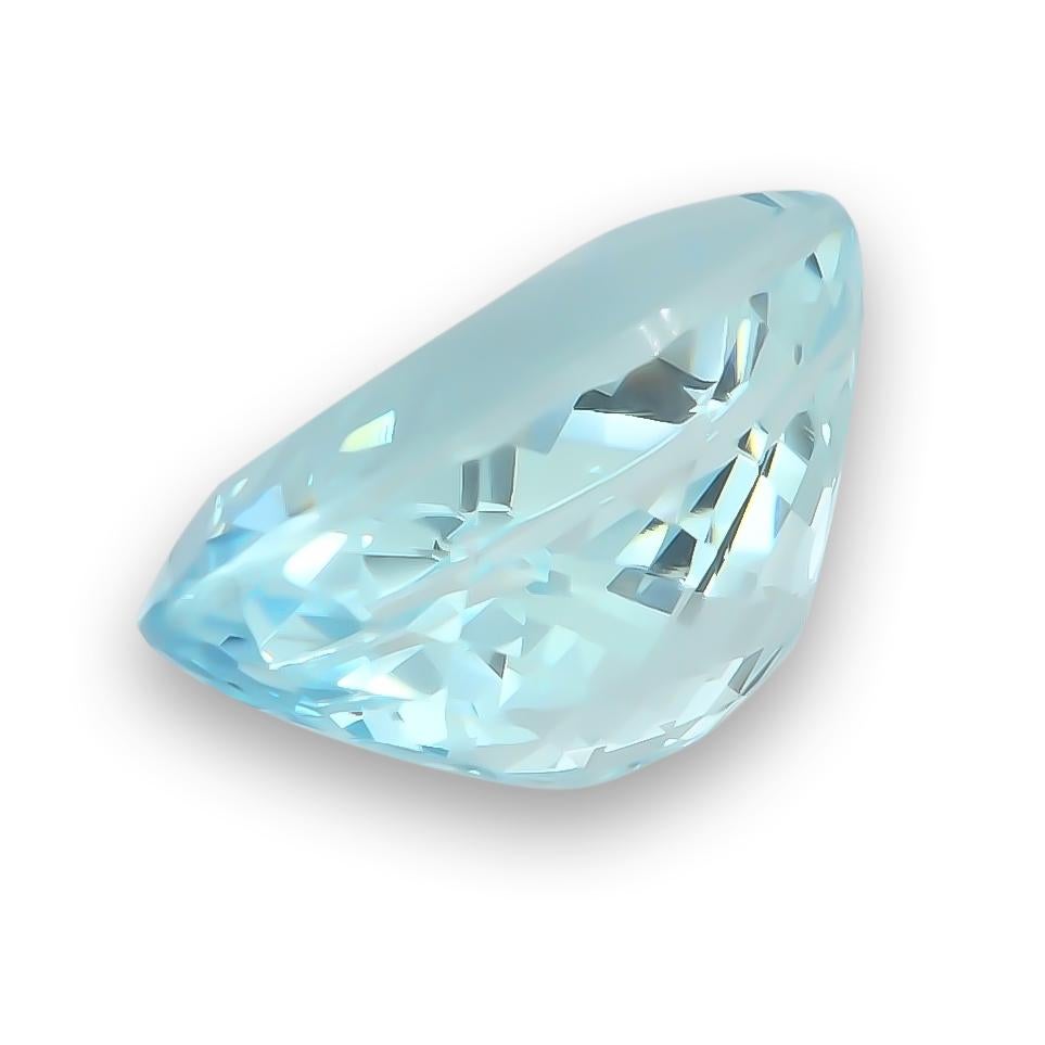 is light blue an earth tone