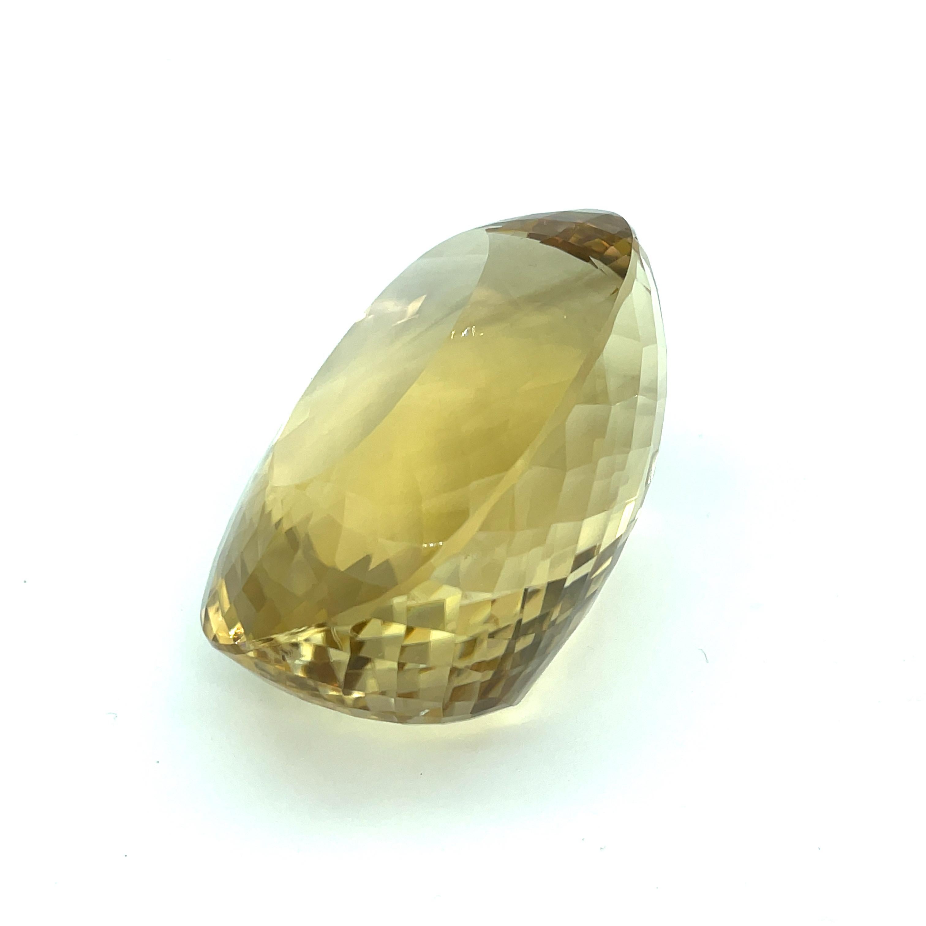 1058 Carat Oval Faceted Smoky Quartz Collector Gemstone (pierre précieuse de collection)   en vente 2