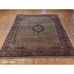 10'5"x13'8" Yellow Antique Persian Bidjar Medallion Design Wool Hand Knotted Rug