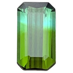 1.06 Carat Olive Green Bicolor Natural Tourmaline Emerald Cut Loose Gemstone (pierre précieuse de taille émeraude)
