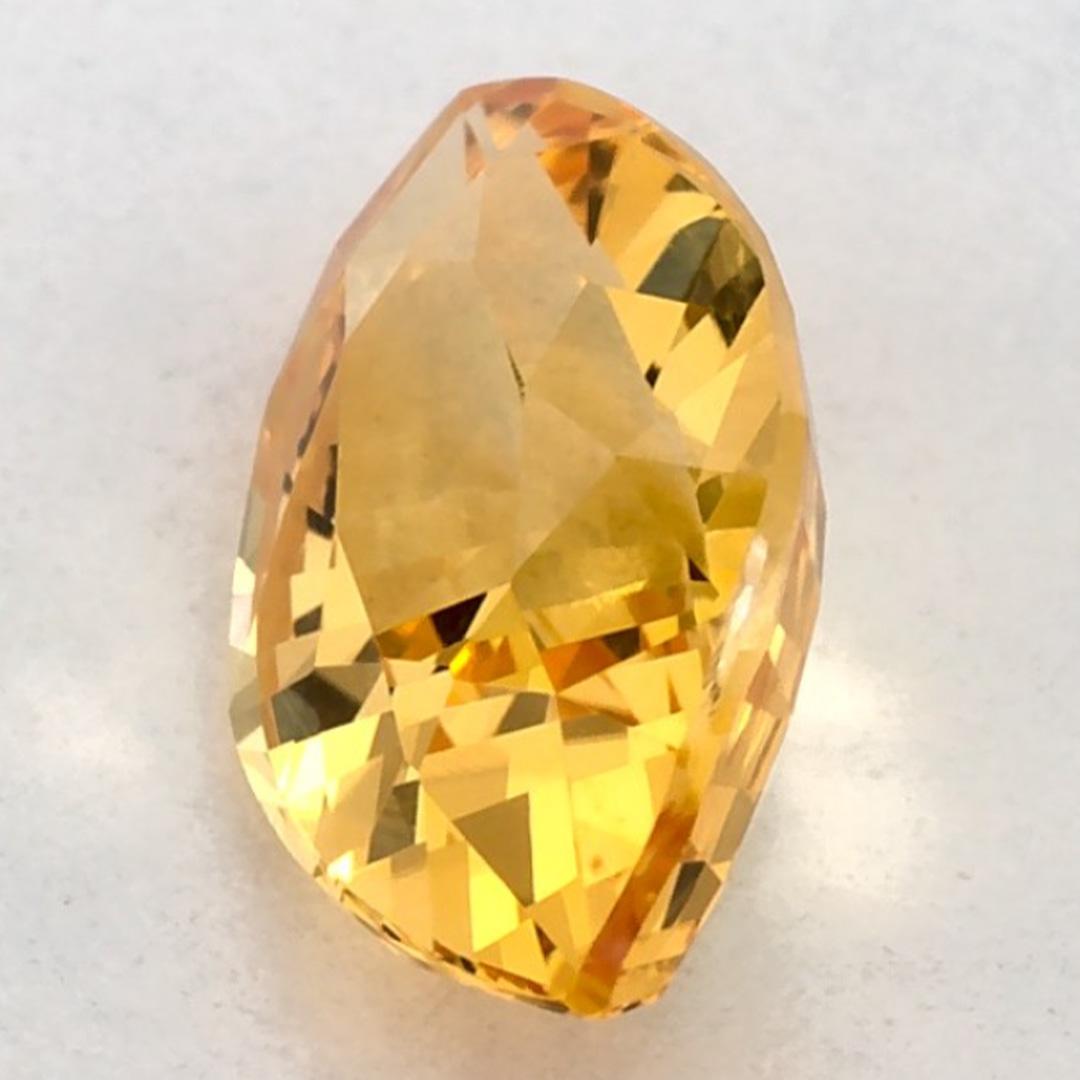 Donna 1.06 Ct Zaffiro giallo Marquise Gemma sciolta in vendita