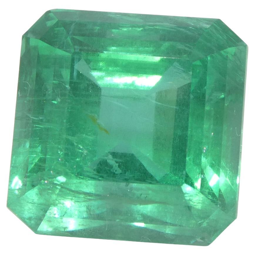 10,64 Karat achteckiger/quarellgrüner Smaragd GIA-zertifiziert (F2) im Angebot 7