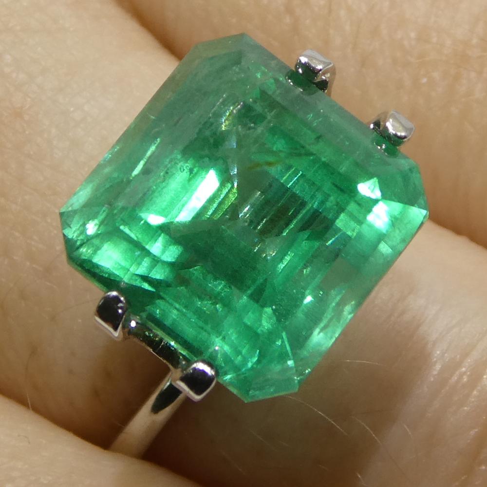 10,64 Karat achteckiger/quarellgrüner Smaragd GIA-zertifiziert (F2) im Zustand „Neu“ im Angebot in Toronto, Ontario