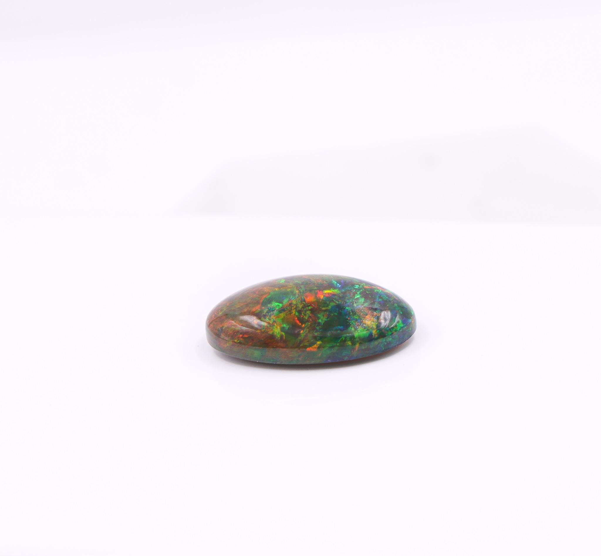 10,73 carati di opale nero sfuso ovale 23x13 mm in vendita 2