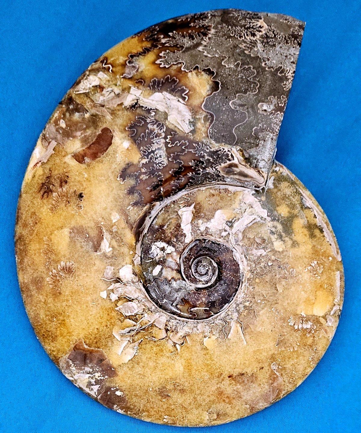 10.75