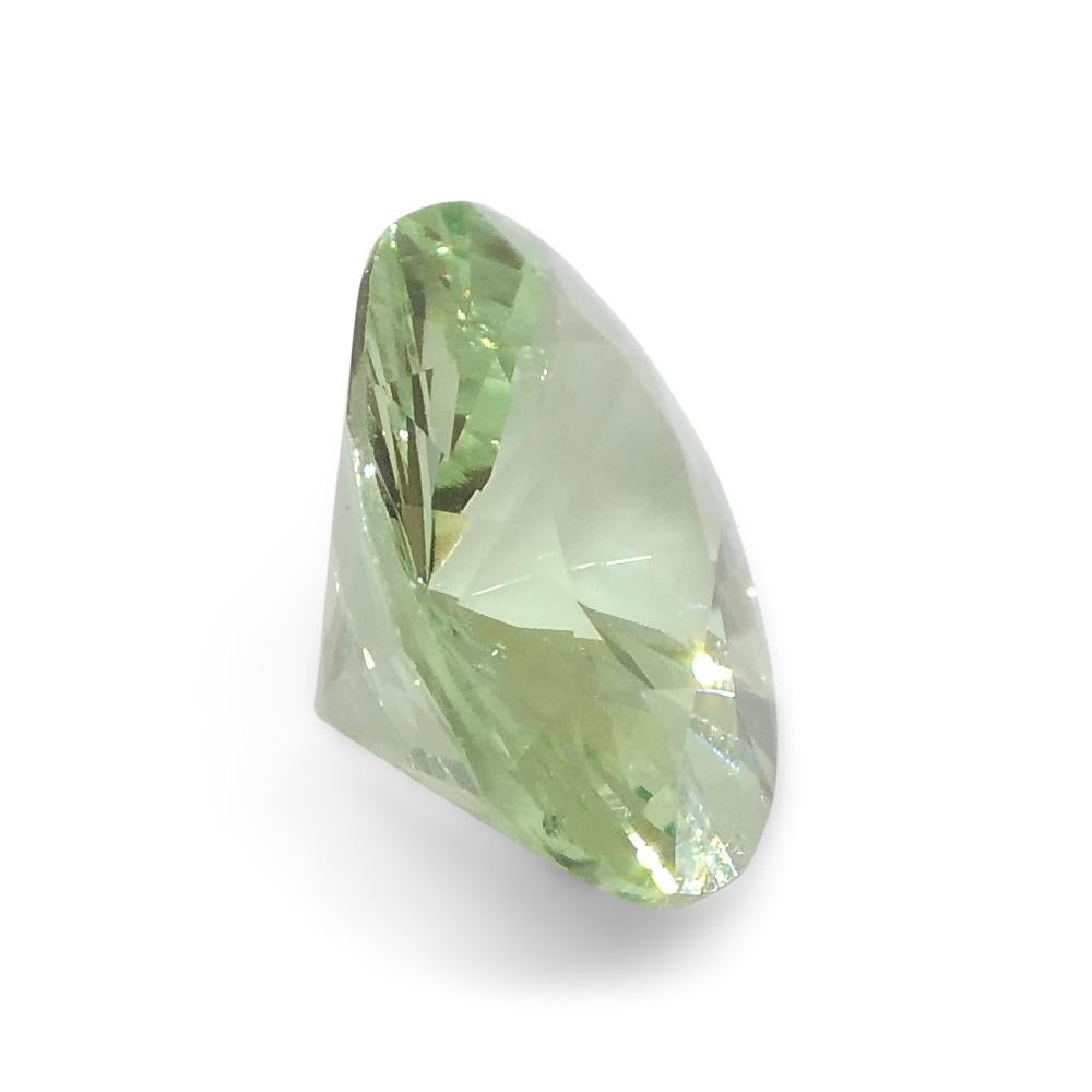 1.07ct Oval Green Mint Garnet from Tanzania For Sale 5