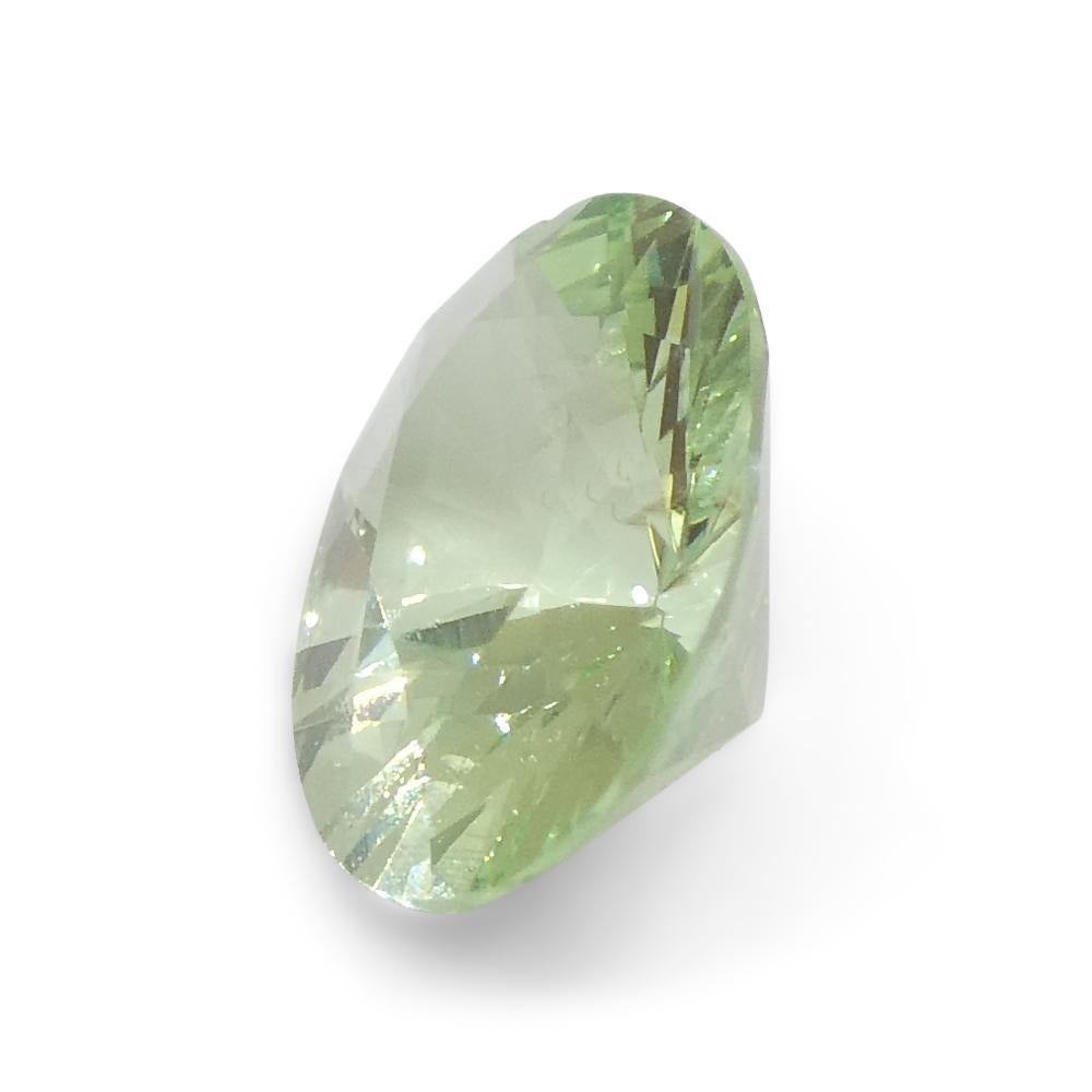 1.07ct Oval Green Mint Garnet from Tanzania For Sale 7