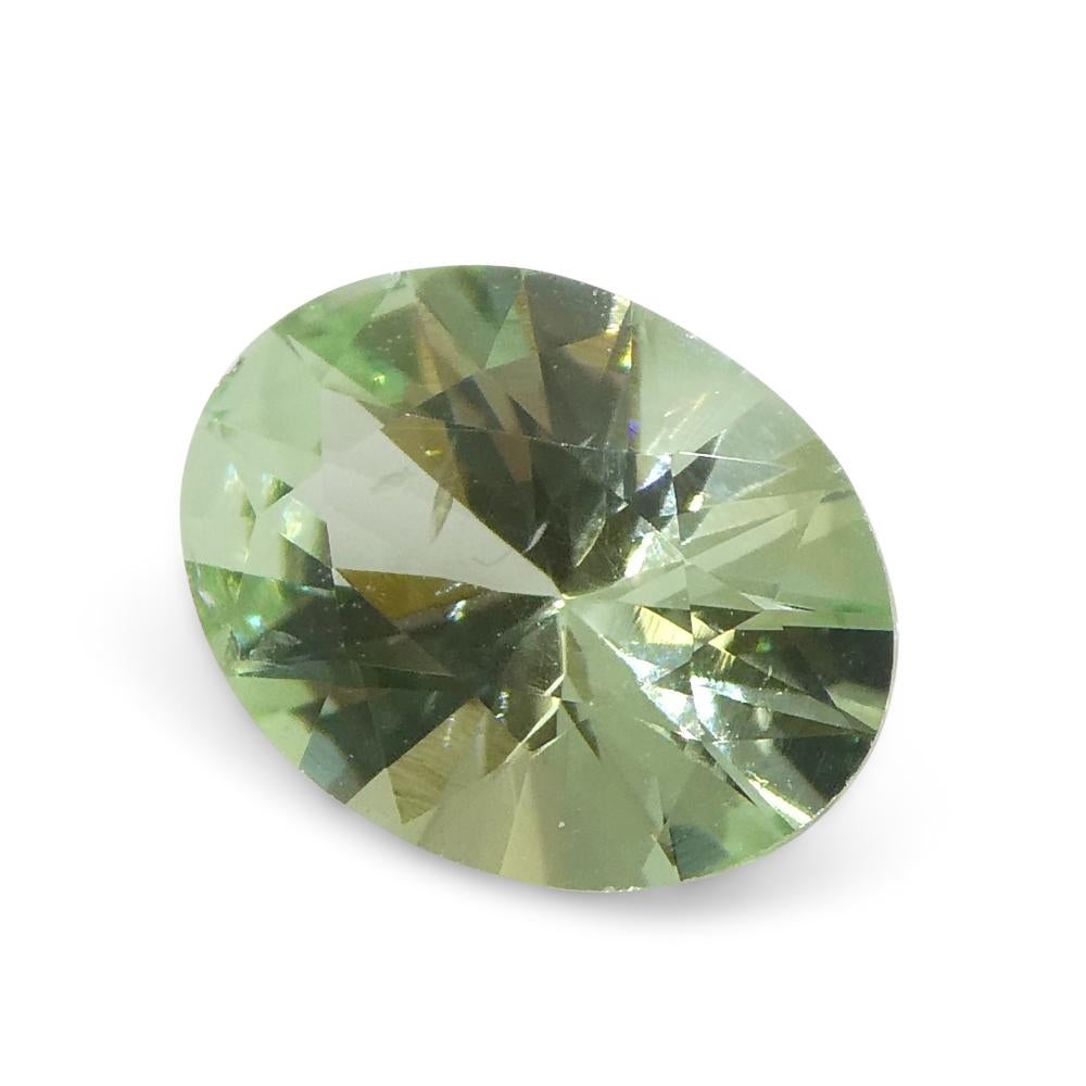 1.07ct Oval Green Mint Garnet from Tanzania For Sale 8