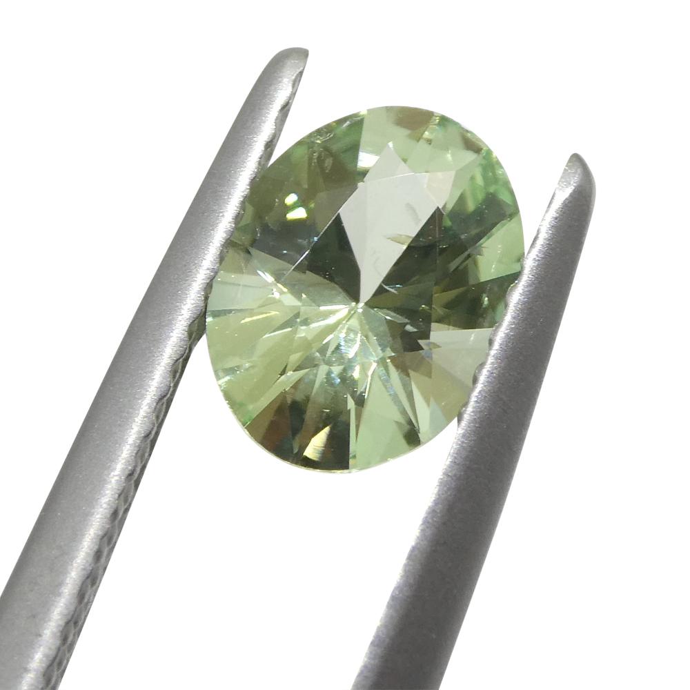 Oval Cut 1.07ct Oval Green Mint Garnet from Tanzania For Sale