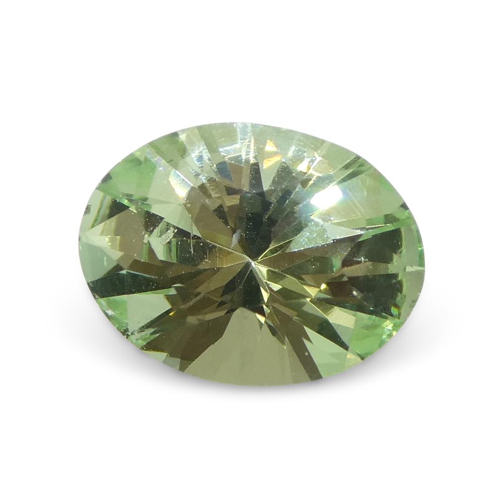 1.07ct Oval Green Mint Garnet from Tanzania In New Condition For Sale In Toronto, Ontario
