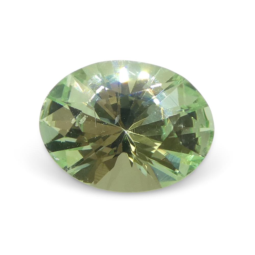 1.07ct Oval Green Mint Garnet from Tanzania For Sale 1