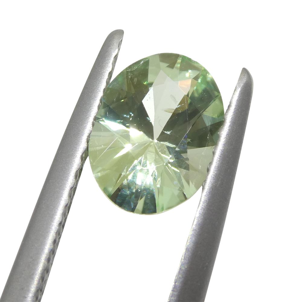 1.07ct Oval Green Mint Garnet from Tanzania For Sale 2