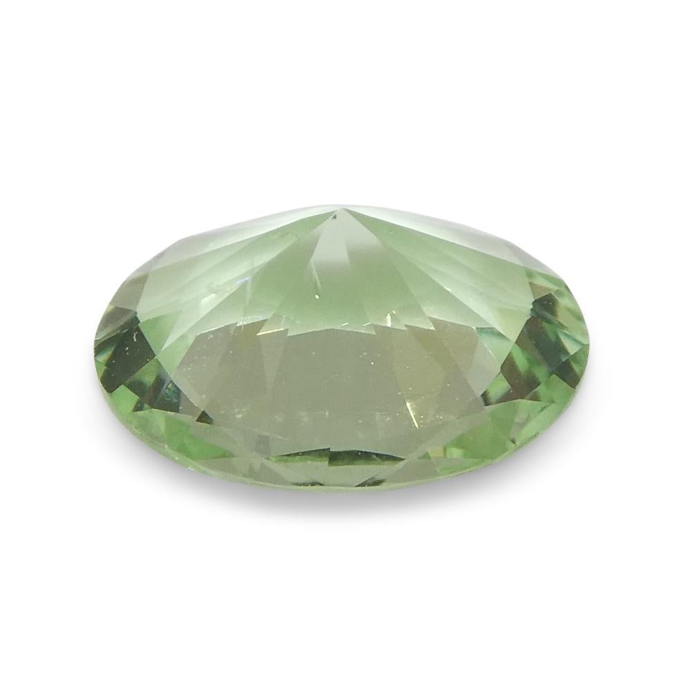 1.07ct Oval Green Mint Garnet from Tanzania For Sale 3