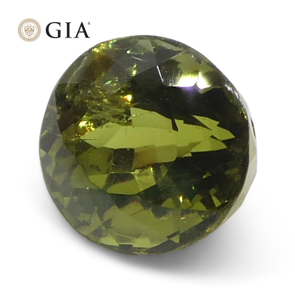 1,08ct Ovaler gelblich grüner bis gelblich brauner Alexandrit GIA zertifiziert 8