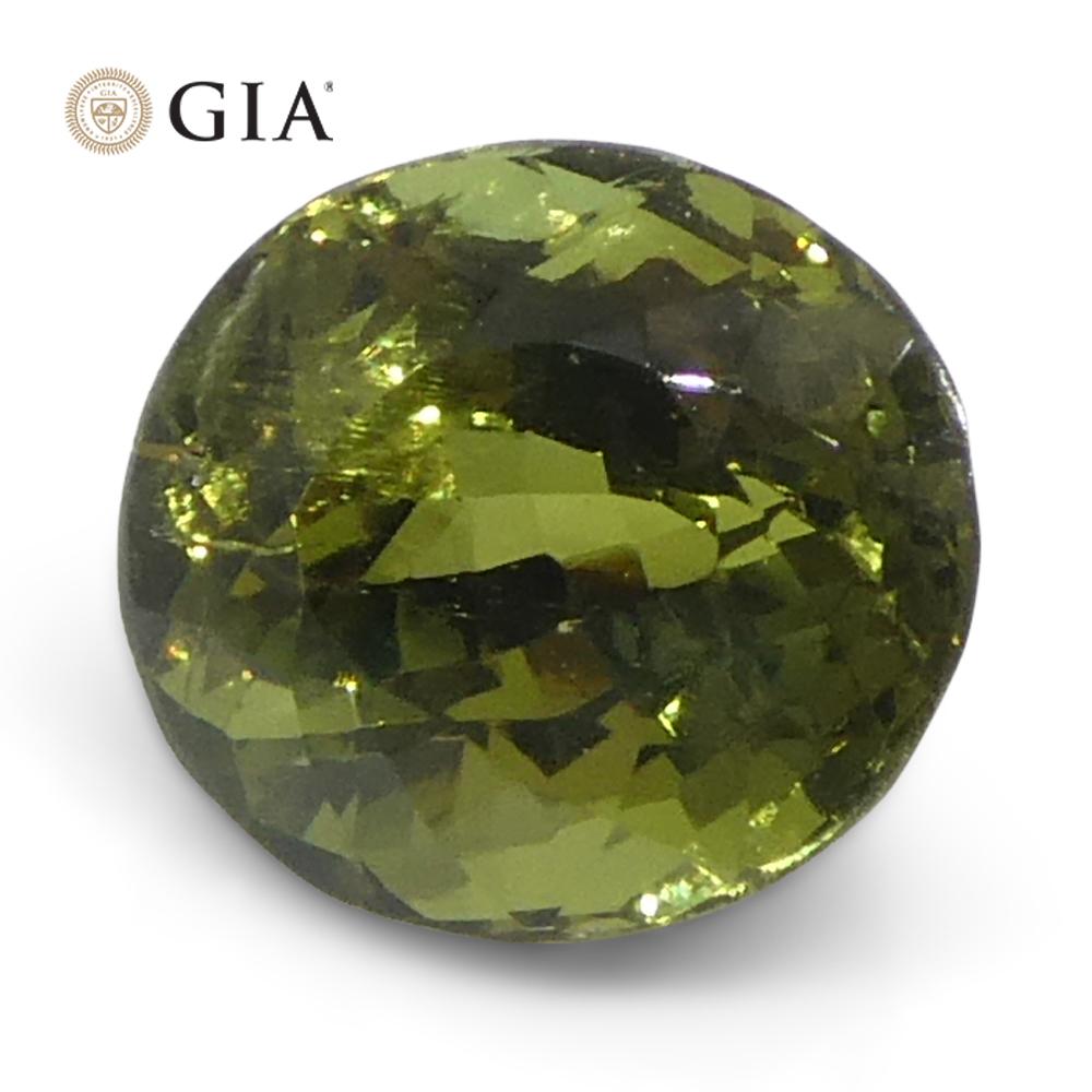 1,08ct Ovaler gelblich grüner bis gelblich brauner Alexandrit GIA zertifiziert 1