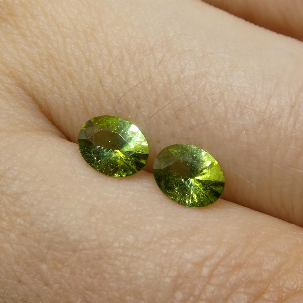 1.08ct Pair Oval Green Tourmaline from Brazil For Sale 6