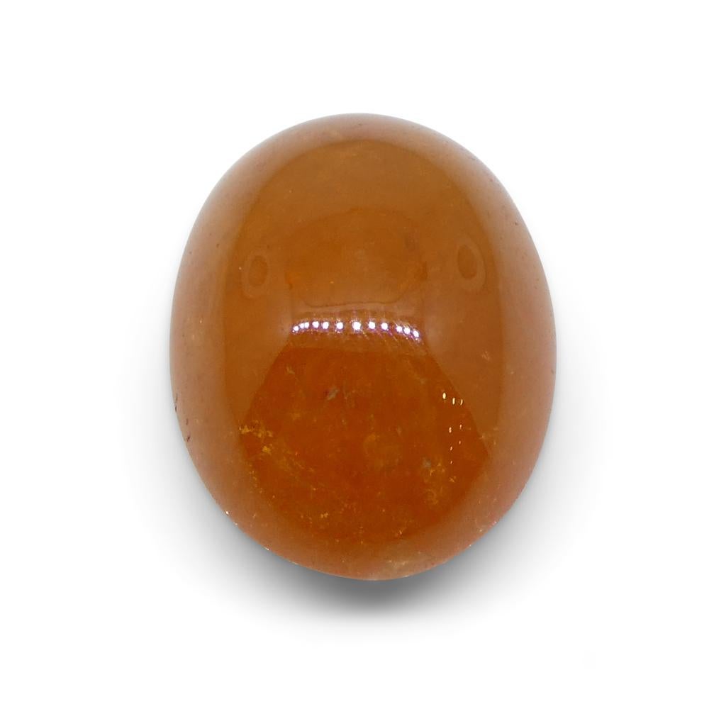 10.91ct Oval Cabochon Orange Spessartine Garnet from Nigeria For Sale 8