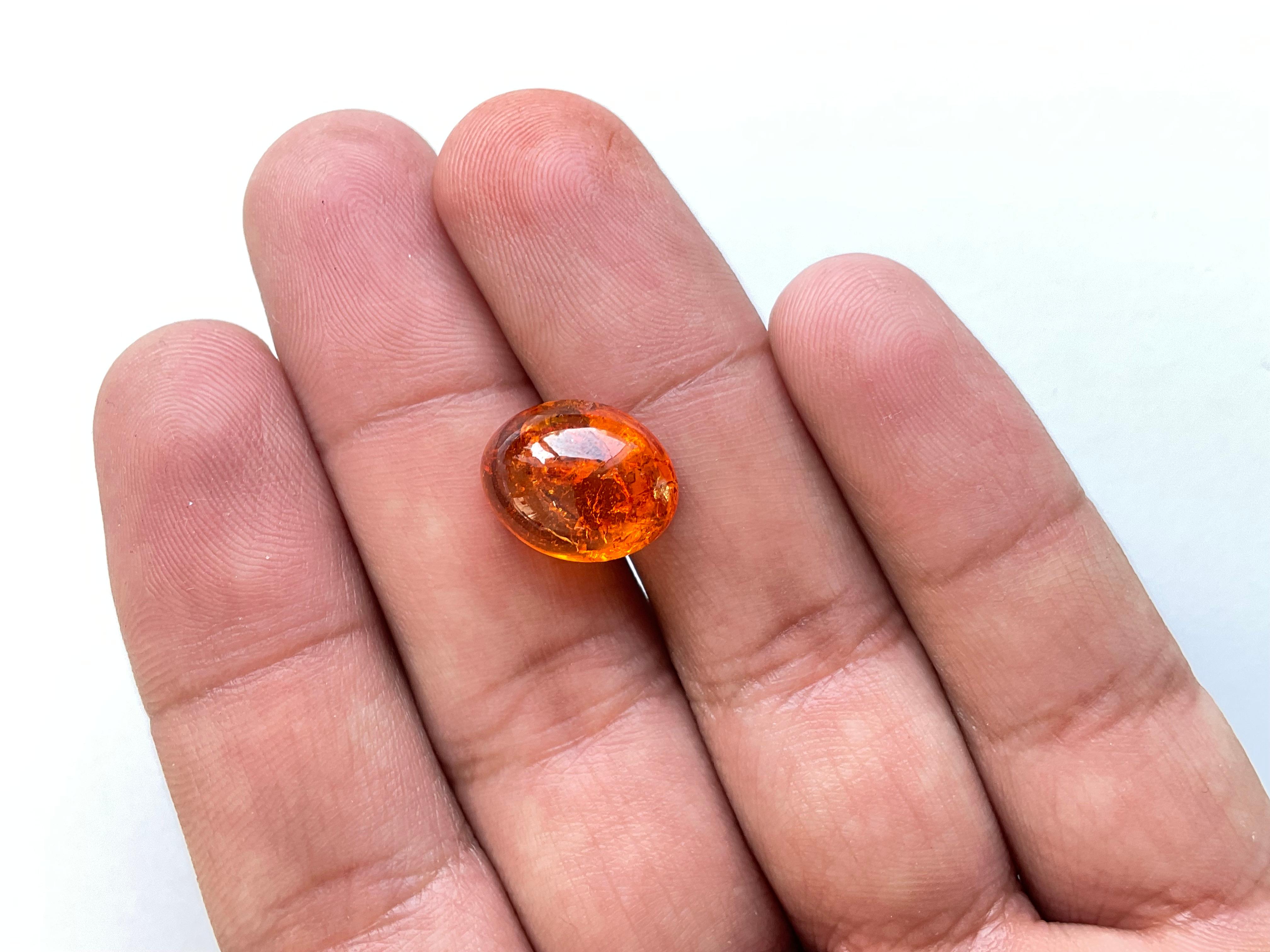 10.97 Carati di Granato Fanta Spessartite Cabochon ovale di qualità superiore Nature in vendita 3