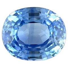 1.09ct Fine Vivid Blue Sapphire Oval Cut Rare Loose Gemstone