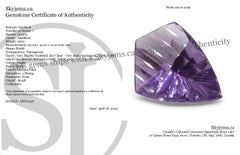 10 Karat Schild Amethyst „Eleanor“ Fantasie/Fancy-Schliff