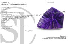 10ct Shield Amethyst 'Eleanor' Fantasy/Fancy Cut