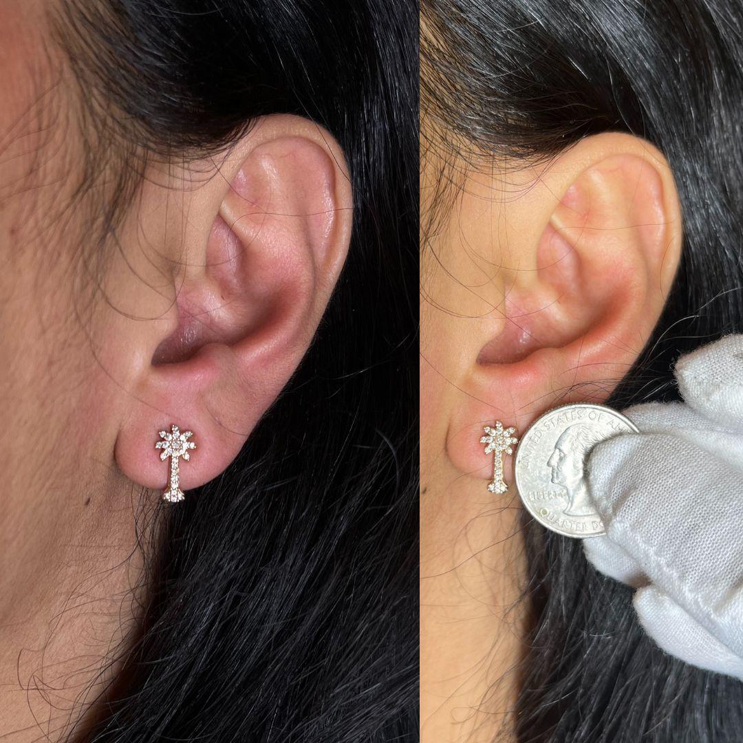 florida lizard earrings