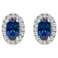 Clous d'oreilles en or blanc 10 carats avec saphir bleu ovale 5 x 3 mm et diamants halo