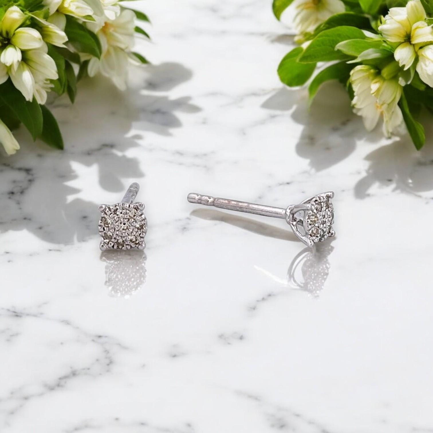 Realizzati in oro bianco massiccio 10 carati, questi orecchini con diamante offrono uno scintillio delicato ma sofisticato. Con 0,06 carati di diamanti naturali, queste borchie minimaliste sono perfette da indossare tutti i giorni o come sottile