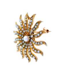 Pendentif/épingle en or jaune 10k 1890s Pearl Sun Burst