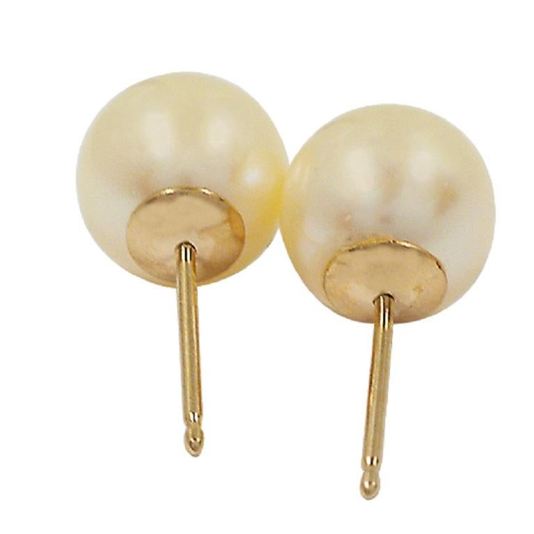 Modern 10k Yellow Gold Cultured Akoya Pearl Stud Earrings For Sale