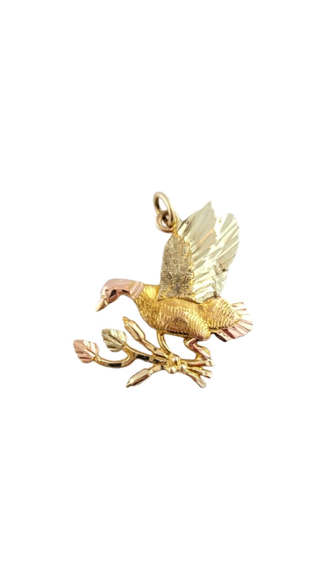 Vintage 10K Yellow Gold Flying Bird Charm - 

Flying bird charm carrying cattail weeds in 14K yellow gold.

Hallmark: 10K

Weight: 1.9 g/ 1.2 dwt.

Measurements: 21.47 mm X 18.36 mm

Very good condition, professionally polished.

Will come packaged