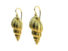 10 Karat Yellow Gold Tulip Shell Earrings