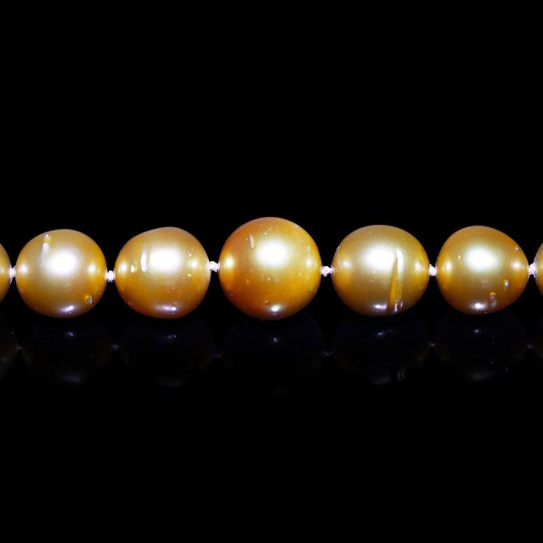 Golden Cultured South Sea Pearl 14K Yellow Gold Necklace at 1stDibs