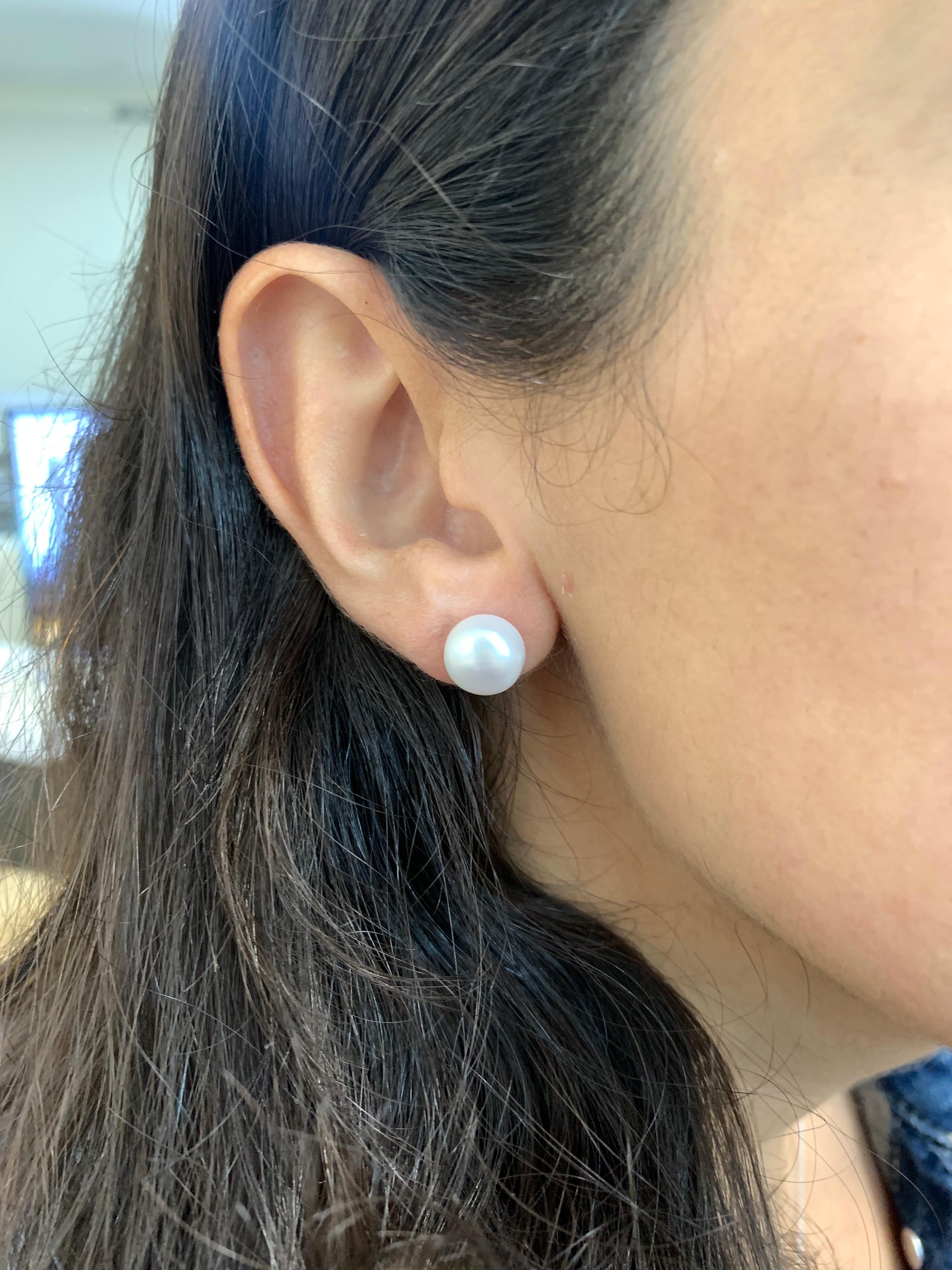Modern 10mm White Freshwater Pearl Stud Earrings in Silver