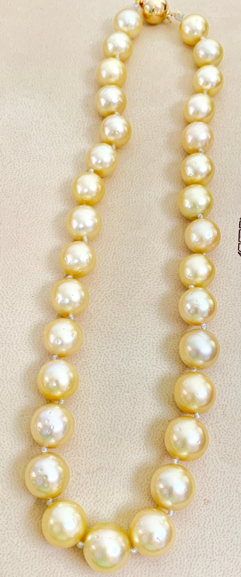 Golden South Sea Pearls Long Strand Necklace 18 Karat Gold Clasp at 1stDibs