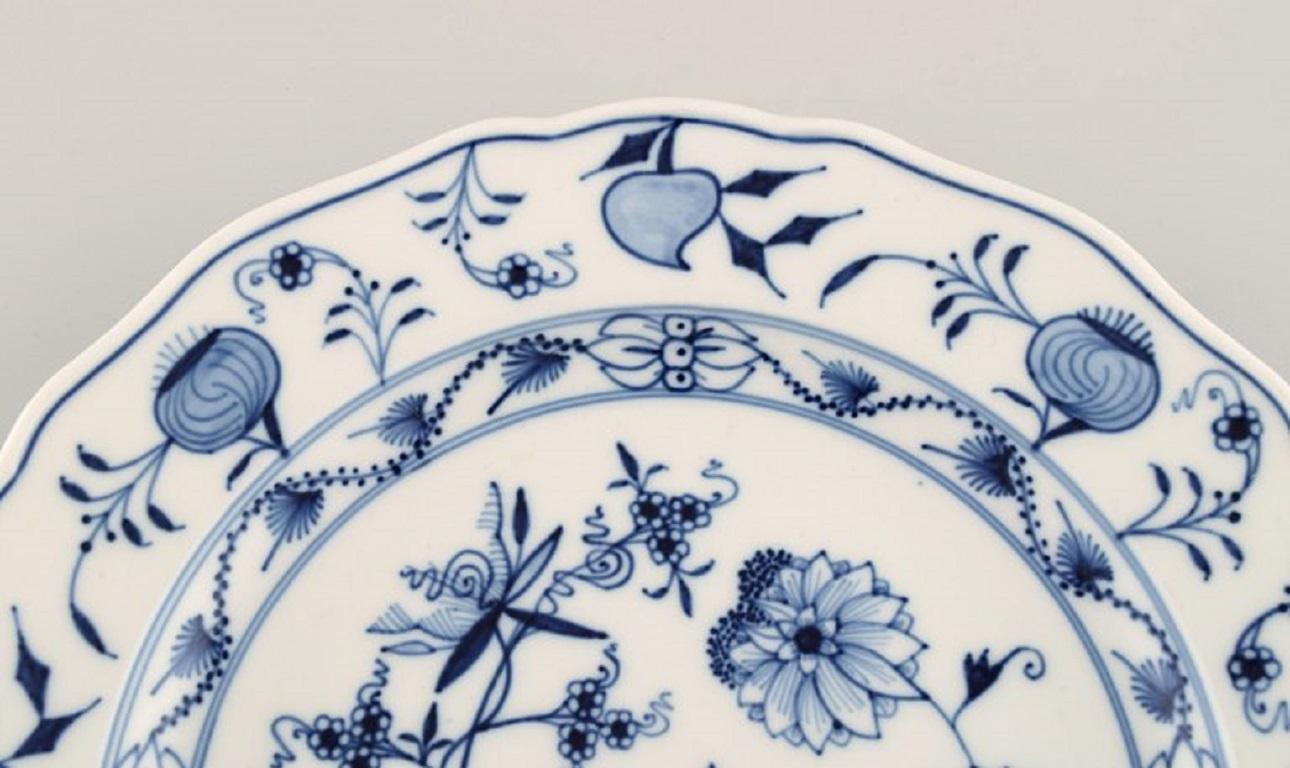 Early 20th Century 11 Antique Meissen Blue Onion Dinner Plates in Hand-Painted Porcelain