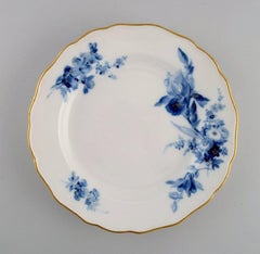 11 Antique Meissen Dinner Plates in Hand-Painted Porcelain