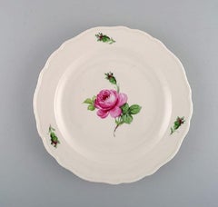 11 Antique Meissen Lunch Plates in Hand Painted Porcelain with Pink Roses