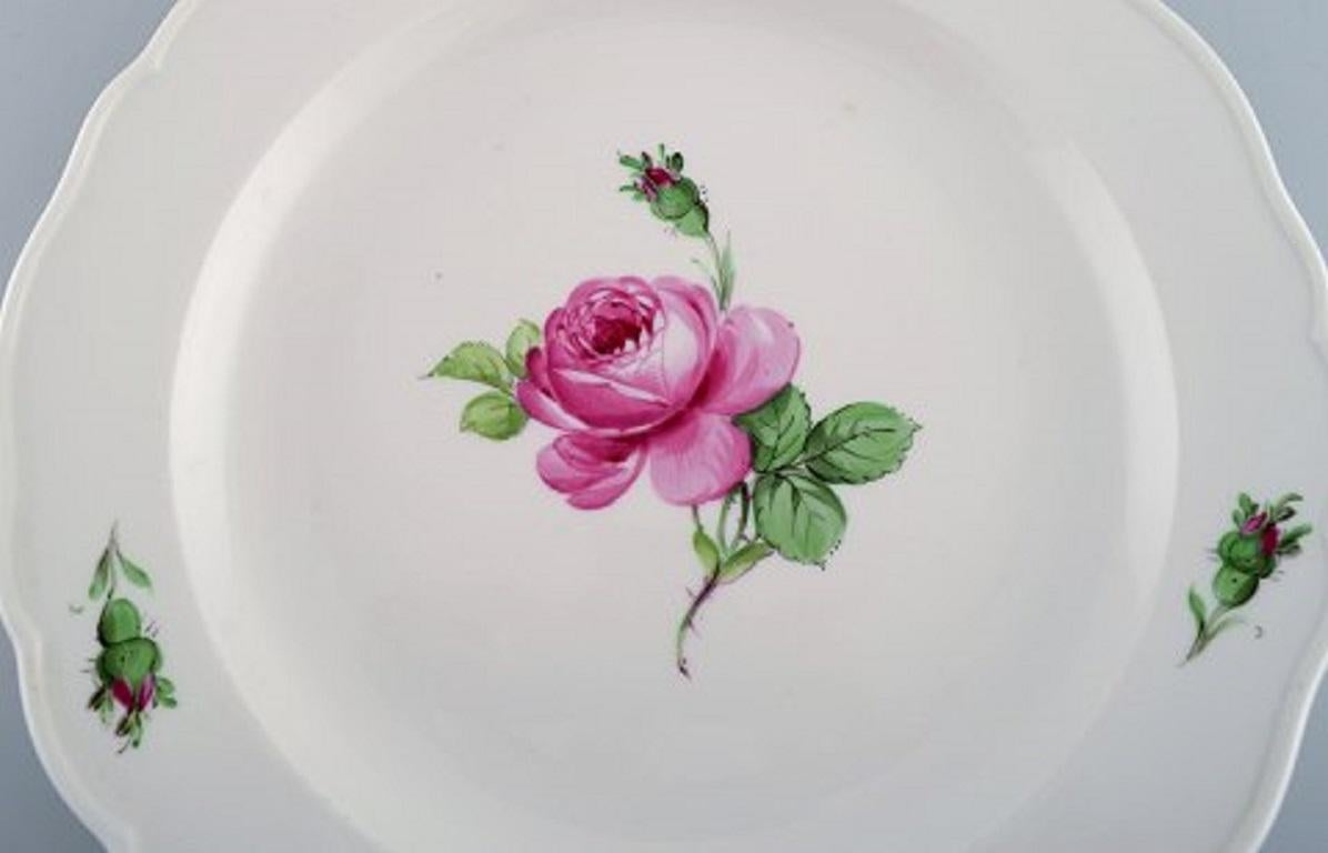 German 11 Antique Meissen Lunch Plates in Hand Painted Porcelain with Pink Roses