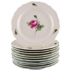 11 Antique Meissen Lunch Plates in Hand Painted Porcelain with Pink Roses