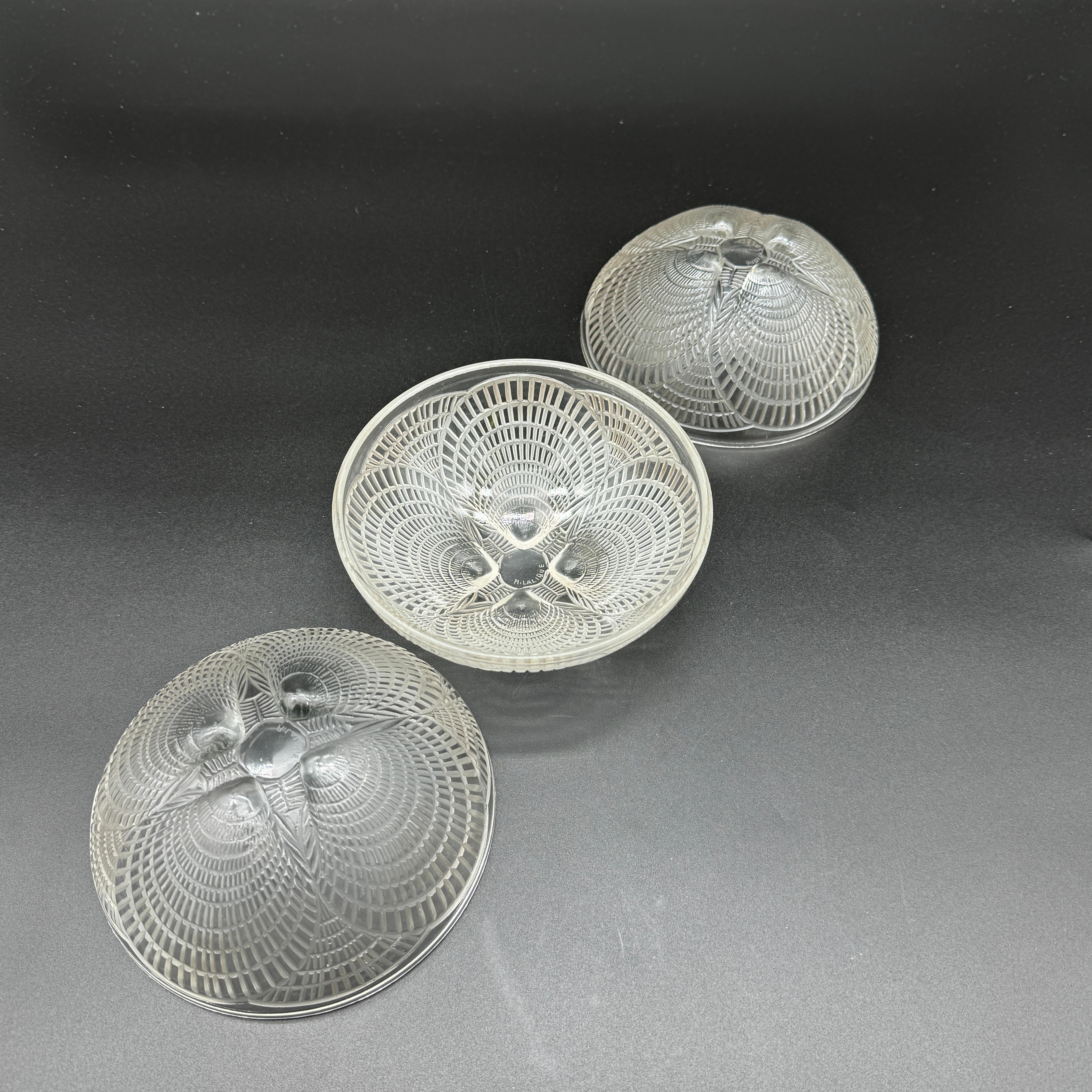 Glass 11 Art Deco Shel Bowls by R.Lalique.